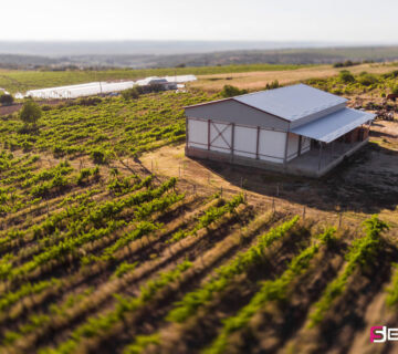 DJI 0217 360x320